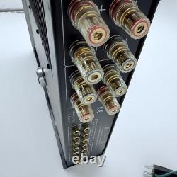 Unison Research Unico Amplifier