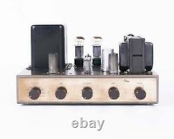 Vintage Eico HF-20 // Integrated Tube Amplifier Monoblocks