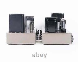 Vintage Eico HF-20 // Integrated Tube Amplifier Monoblocks