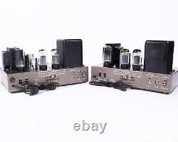 Vintage Eico HF-20 // Integrated Tube Amplifier Monoblocks