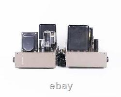 Vintage Eico HF-20 // Integrated Tube Amplifier Monoblocks