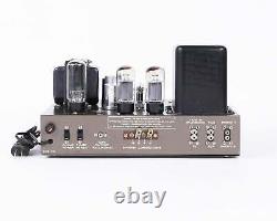 Vintage Eico HF-20 // Integrated Tube Amplifier Monoblocks